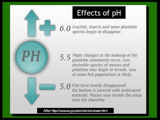 Effects of ph After: http://www.ec.gc.ca/acidrain/acidwater.html Effects of pH 