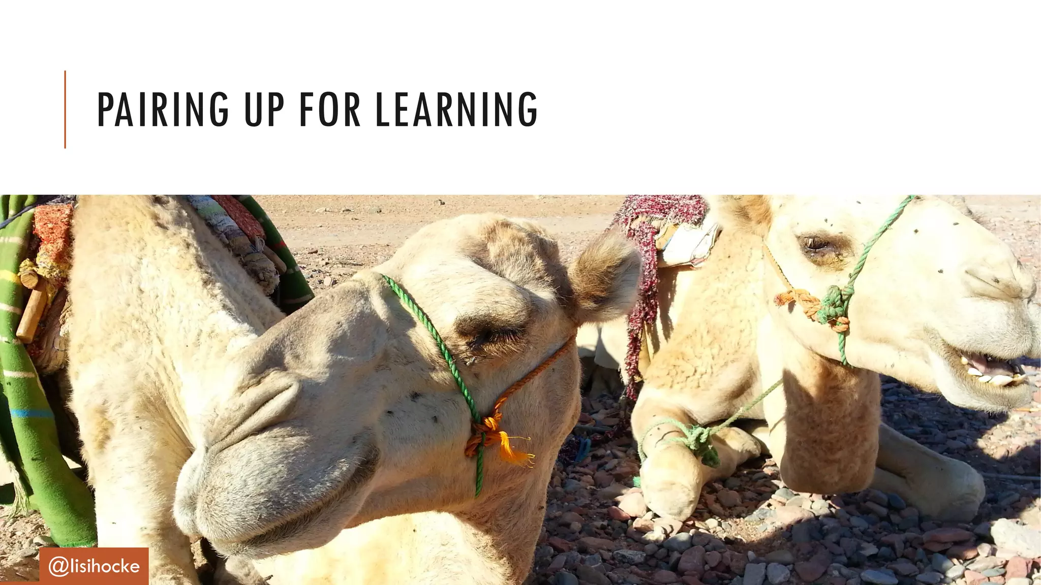 PAIRING UP FOR LEARNING
@lisihocke
 