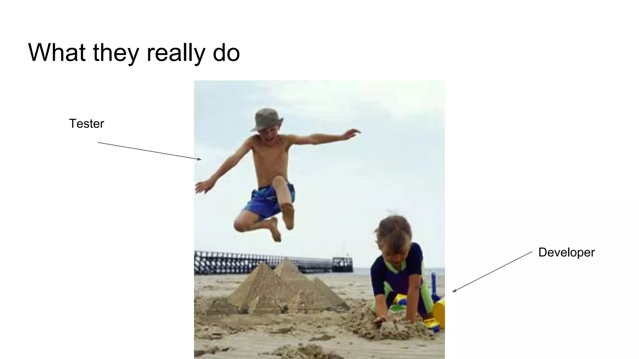 What they really do
Tester
Developer
 