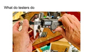 What do testers do
 
