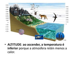 • ALTITUDE: ao ascender, a temperatura é
inferior porque a atmosfera retén menos a
calor.
 