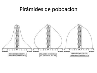 Pirámides de poboación
 