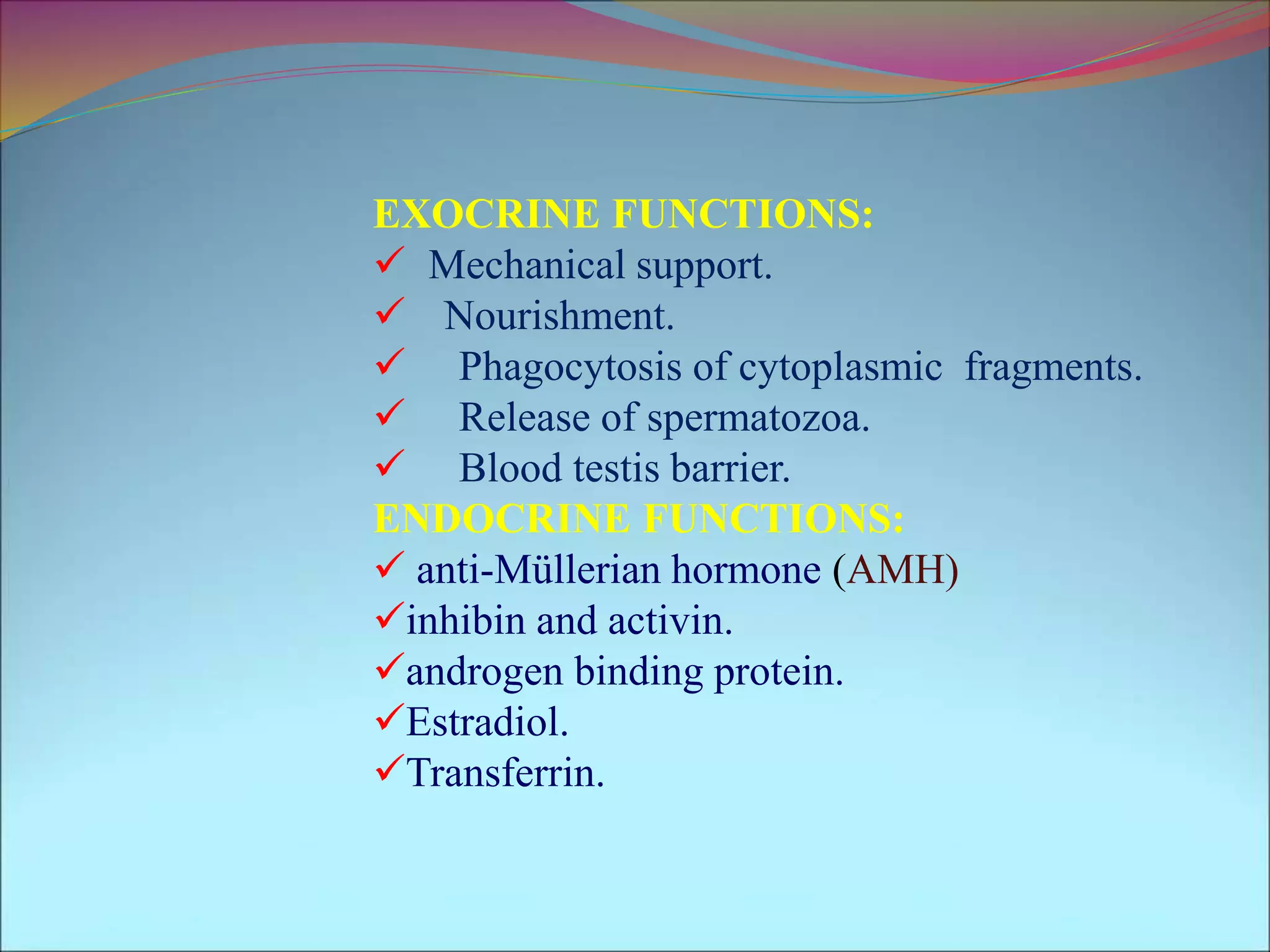 EXOCRINE FUNCTIONS:
 Mechanical support.
 Nourishment.
 Phagocytosis of cytoplasmic fragments.
 Release of spermatozoa.
 Blood testis barrier.
ENDOCRINE FUNCTIONS:
 anti-Müllerian hormone (AMH)
inhibin and activin.
androgen binding protein.
Estradiol.
Transferrin.
 