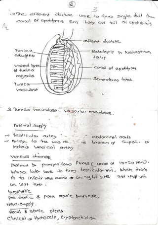 - ? rlr-,e- e-rl^e.€of clucdr e
n <a-:r oA e?bltd)6. !s {d-"o
|,q
obqgi nr:
lpe1e."5n l) .o betr oSn rn
<o-$ or e{dJ>6hr
Se-t'.,+e'"r M .
-)
u-)re +c, 'll."r
r,o"t q^d t";
slosla dtltl 4-
6{ eI,rci19
"ri:
I
3 l'D,CCI wc,f  urr<l{ - 4r .c_lo,
nlle-io -.l{py
4 iasArclqv o.yte> : -
-, q't e.r. lo *e- ras .ra -
lr){ert; ,,€ai co q,r€,2
rze.o.r-s .*.req
" o!:doorcra  ou, .la
.e B-c.n<-n (J, 3!9e.i!, c)"
D*cr nea !r fq-rpoi{or"? fi'''4s Lunrso Gf
V.' c.b, ra!e, !h,ts 1o {:-) le<dc'{o' lrr., -
tir Ao r.' leri.y la.c! aqta 6' or, rgL+ S€
trN ell s+ -
tg-:o vs'nJ .
c,rc! *p^d
'^,h
lnPlelic
& Po,Y^ qar1'c !qtho${.
-o'vr- 3rpy ..
&;s-6oitlc Pexr.
C! -_- ryd"ocee, t'yp"lcr.ch id rs.r
 