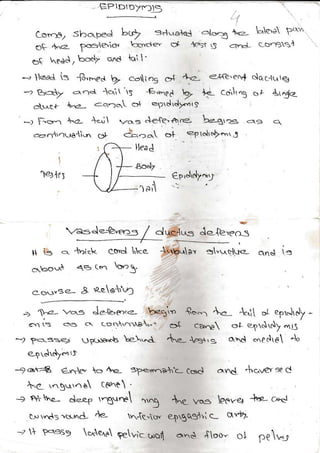 E:P]DID>F]]S
Co"-!^/ SbcpeJ t(J> 3"1!(61e! qo.5
o! {e f53{6ior L:.nde'' C)l i:'rr S
o! tod, !:od7 ono lol'
-, lei{ is S,aea V2" <..,1io9 o{ .1"a e,{(t,e+ ciorr!1rq
-) Bo+, a.. lci  rS -e...,ed
E le cS'l,
^g c,f {(C<.
elue+ ,*2, aq.)"{ c+ e-'ddFts
.-) :c- .a, +q1 v-o='.c{e'sr're- h=-g,zr o=
dool.!tra{i$ or <<.)q ot ept"lrc}oi3
1
1e, tr J
ile6 d
Bo".l7
-!:3=tu-f3""5
N is -. 4'ri.Q co'd ,<e Ariuqar
o,:o.r{ <q (- G?5
ao.rr3e- ! ees{r!r]
+ 1-?- ,qs Je{",e.,.e, !r3'.r. 8.-1 4"2- i..ll ol eprtJrcf
-. i= ..= G Lona^,o-' ot cs,.,e or elrdrdy "ai5
-.2 p<sse) u$lr$b te-.^d 4r- {cs+,s o"'d *edre Jo
e,i,.Jrd7arr
, crr4. €ne- o 4e SPe.r.a.c csrd .rv{ i}G,€Y 3e d
&.c .ns.,"a o co".t '
- 6, ^c, d-q. ,-,g.r.r"
",^.9 e v-os, pe-er l- , -.t
rr r.d: "r:-l^&
.1e, h"q"o. e{,gq3tlL uYb.
-7 l Fd'ss9 orera $evic t,or! an{ {oo- 61
"a1o,
Jeleverrl
=-,.^<l.re ond i:
 