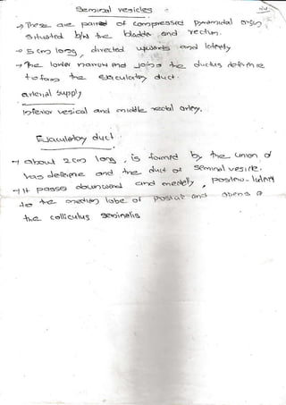 3e.D,- ve3ices
-21t-,e="- a.+ P'*d ol. (c(-P,€ssel
!" 4L- <^n,on. cy'
S€<ro* ves r aE,
po=re'o, tAe,4
I
I
i
L
sAqsAec b/l +.-
-" E (y.r s.rq AwecfeJ
,11a- ioFla r)olro end J
+= +-"D +.z aJet rvoro>
<r.te'ra 5rP/
l/re1o. ,esr col
G-:c,...-ieAY dq r
*r c+s!A >c-> s
<r= Jete'ecta aod
-l f Posse2 docrnlso-I
11.a coi (.^r'S eetoqes
o^o _,1y- ,,ecro
Jqclras &'{er eo o<:
cJ-E'.1
.F
 