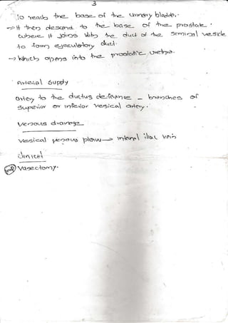 .3
'o rFo(b +va- boee- o{ 't!e tl'rrr') brq.l.a'-
*2 + +€D cle-sce-r+ .)o t'a- cqe o+ +n- l>'63ok- '
,o Jo...'1 <3...-olo'7 dd
o')".3 olo f'a-
q.re.io SuPd /
tr.- drr-4.,g de-.t6on re -
}esi<q o €'. .
r,ra=i<q Ve':a ua
@ vas..l."^r7'
 