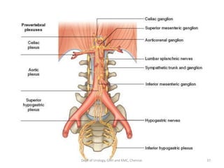 37
Dept of Urology, GRH and KMC, Chennai.
 