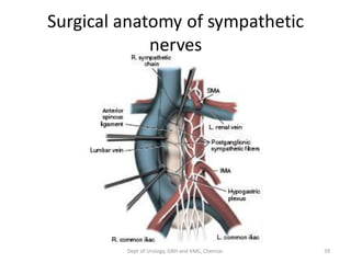 Surgical anatomy of sympathetic
nerves
39
Dept of Urology, GRH and KMC, Chennai.
 