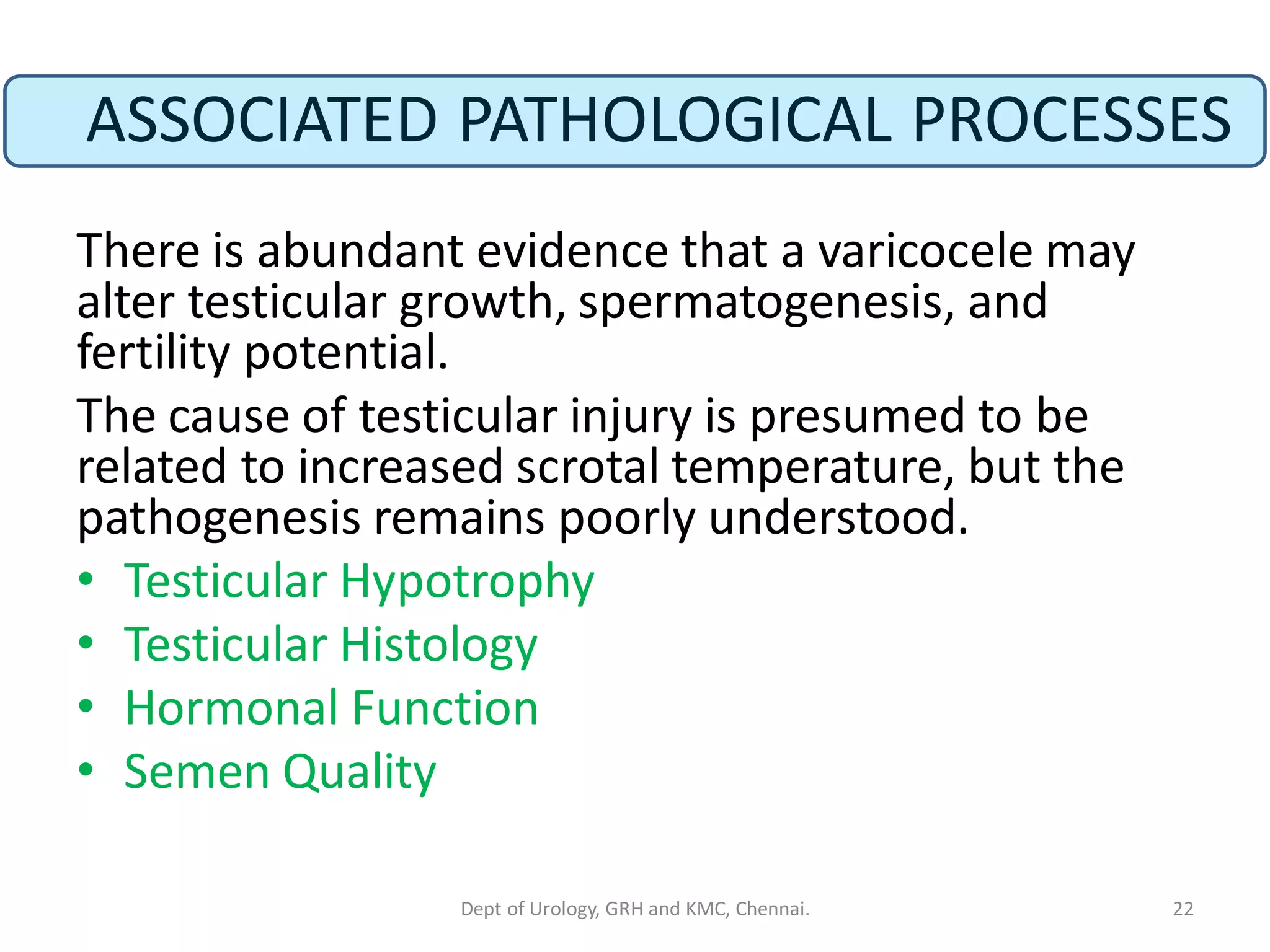 ASSOCIATED PATHOLOGICAL PROCESSES
There is abundant evidence that a varicocele may
alter testicular growth, spermatogenesis, and
fertility potential.
The cause of testicular injury is presumed to be
related to increased scrotal temperature, but the
pathogenesis remains poorly understood.
• Testicular Hypotrophy
• Testicular Histology
• Hormonal Function
• Semen Quality
22
Dept of Urology, GRH and KMC, Chennai.
 