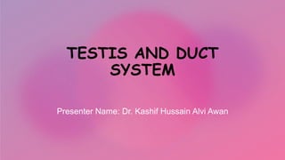 TESTIS AND DUCT
SYSTEM
Presenter Name: Dr. Kashif Hussain Alvi Awan
 
