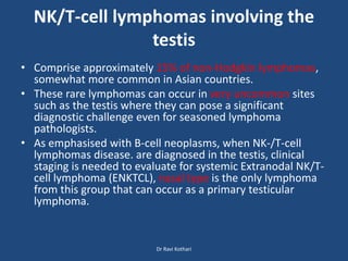 NK/T-cell lymphomas involving the
testis
• Comprise approximately 15% of non-Hodgkin lymphomas,
somewhat more common in Asian countries.
• These rare lymphomas can occur in very uncommon sites
such as the testis where they can pose a significant
diagnostic challenge even for seasoned lymphoma
pathologists.
• As emphasised with B-cell neoplasms, when NK-/T-cell
lymphomas disease. are diagnosed in the testis, clinical
staging is needed to evaluate for systemic Extranodal NK/T-
cell lymphoma (ENKTCL), nasal type is the only lymphoma
from this group that can occur as a primary testicular
lymphoma.
Dr Ravi Kothari
 