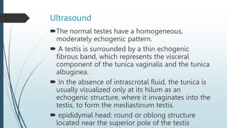 Ultrasound
The normal testes have a homogeneous,
moderately echogenic pattern.
 A testis is surrounded by a thin echogenic
fibrous band, which represents the visceral
component of the tunica vaginalis and the tunica
albuginea.
 In the absence of intrascrotal fluid, the tunica is
usually visualized only at its hilum as an
echogenic structure, where it invaginates into the
testis, to form the mediastinum testis.
 epididymal head: round or oblong structure
located near the superior pole of the testis
 