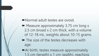 Normal adult testes are ovoid.
 Measure approximately 3.75 cm long x
2.5 cm broad x 2 cm thick, with a volume
of 12-18 mL. weights about 10-15 grams.
 The size of the testes decreases with
age.
At birth, testes measure approximately
1.5 cm (length) x 1 cm (width), reaching
 