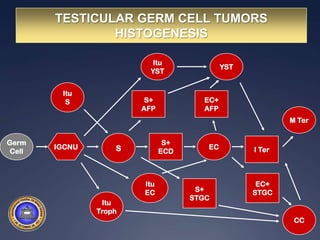 Neonatal jaundiceOrigemTumoresoriginados das célulasgerminativas (espermatogônia)70%apresentamalterações no chromossomo12p (i12p)Predictable differentiation pathway
