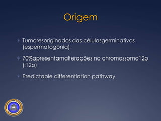 Socioeconomic class/occupation