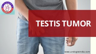 TESTIS TUMOR
www.urologistindia.com
 