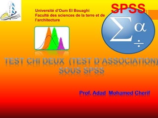 SPSSUniversité d’Oum El Bouaghi
Faculté des sciences de la terre et de
l’architecture
 