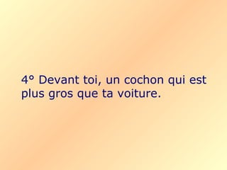 4° Devant toi, un cochon qui est plus gros que ta voiture. 
