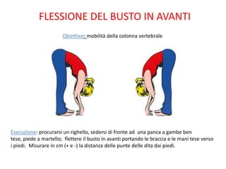 FLESSIONE DEL BUSTO IN AVANTI
                       Obiettivo: mobilità della colonna vertebrale




Esecuzione: procurarsi un righello, sedersi di fronte ad una panca a gambe ben
tese, piede a martello; flettere il busto in avanti portando le braccia e le mani tese verso
i piedi. Misurare in cm (+ e -) la distanza delle punte delle dita dai piedi.
 