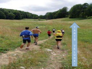 T
A
R
T
S

V
E
L
Ü
N
K
!
 