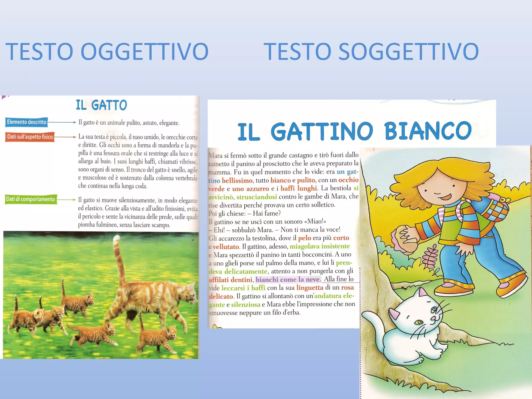 Testo descrittivo | PPT