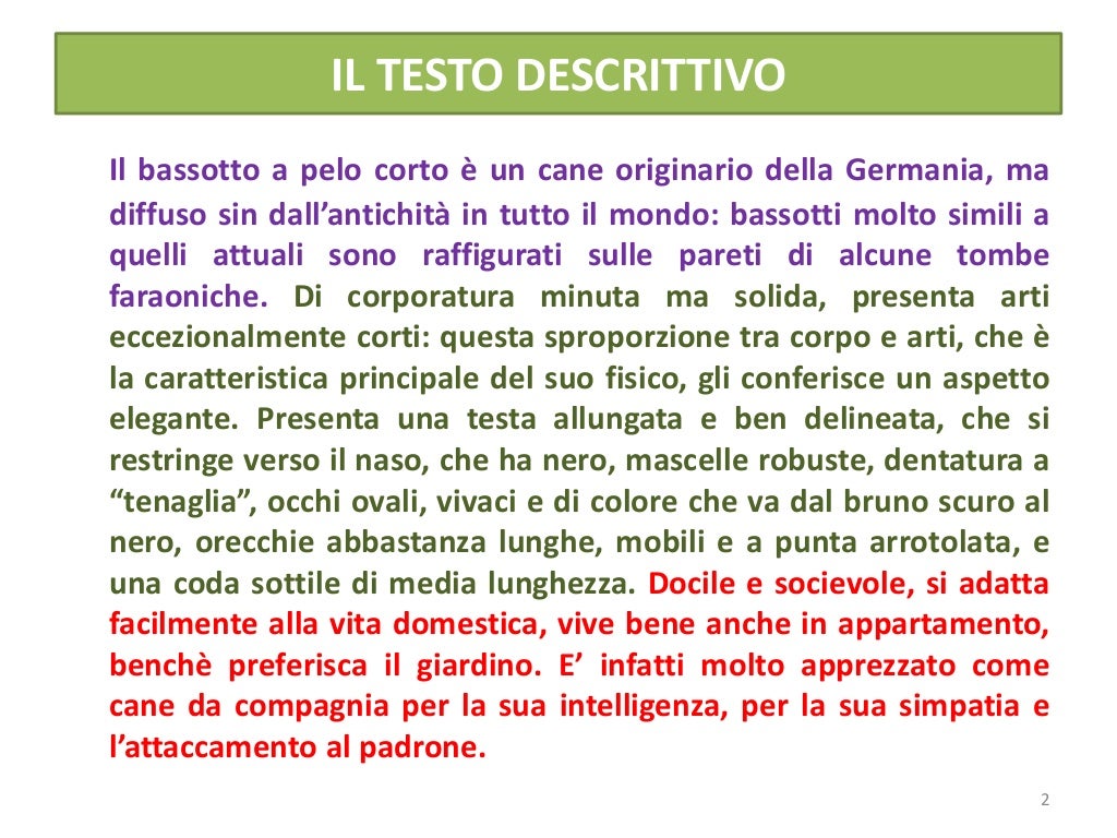 Testo descrittivo