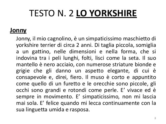 Testo descrittivo