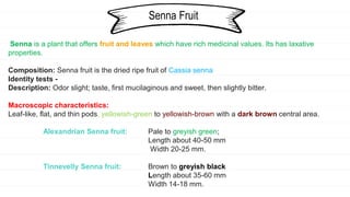 Senna Fruit
Senna is a plant that offers fruit and leaves which have rich medicinal values. Its has laxative
properties.
Composition: Senna fruit is the dried ripe fruit of Cassia senna
Identity tests -
Description: Odor slight; taste, first mucilaginous and sweet, then slightly bitter.
Macroscopic characteristics:
Leaf-like, flat, and thin pods, yellowish-green to yellowish-brown with a dark brown central area.
Alexandrian Senna fruit: Pale to greyish green;
Length about 40-50 mm
Width 20-25 mm.
Tinnevelly Senna fruit: Brown to greyish black
Length about 35-60 mm
Width 14-18 mm.
 