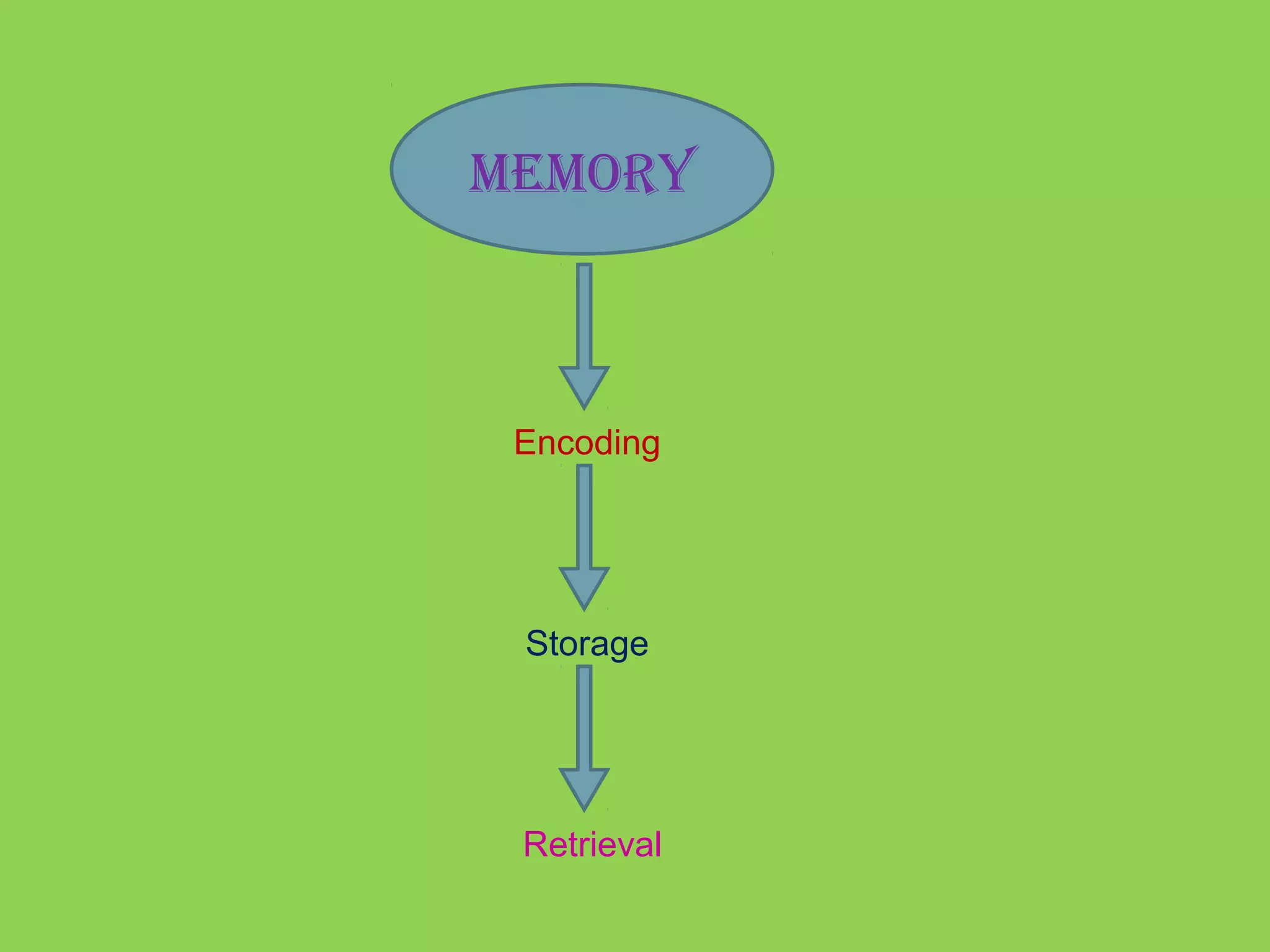 MEMORY 
Encoding 
Storage 
Retrieval 
 