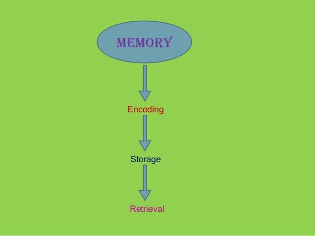 real eidetic memory test real eidetic memory test