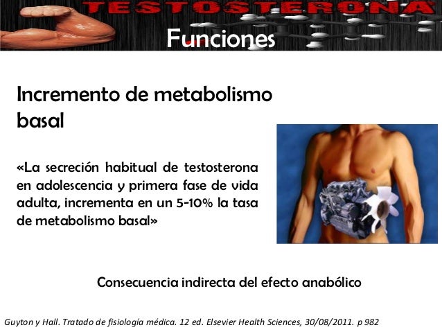 Fascinantes calorias metabolismo basal tácticas