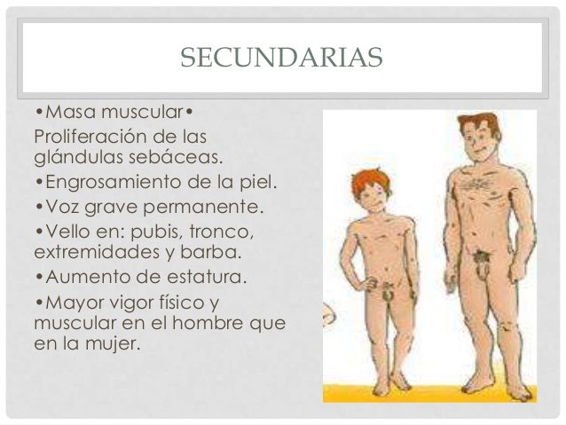 Como aumentar el miembro sin cremas y las pastillas