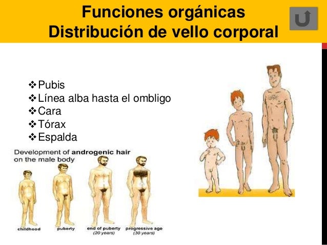 Porno los muchachos con un pequeño miembro