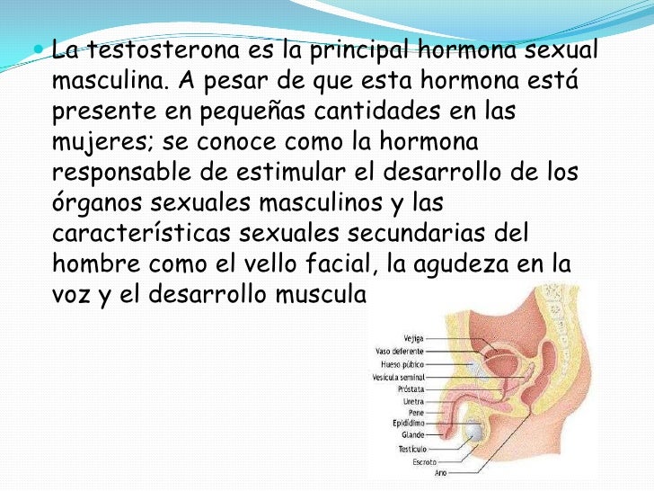 Para aumento em um remédio de gente de potência