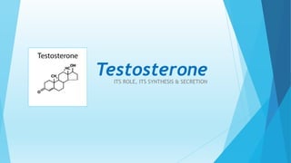 TestosteroneITS ROLE, ITS SYNTHESIS & SECRETION
 