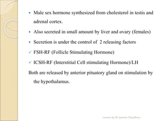  Male sex hormone synthesized from cholesterol in testis and
adrenal cortex.
 Also secreted in small amount by liver and ovary (females)
 Secretion is under the control of 2 releasing factors
 FSH-RF (Follicle Stimulating Hormone)
 ICSH-RF (Interstitial Cell stimulating Hormone)/LH
Both are released by anterior pituatory gland on stimulation by
the hypothalamus.
Lecture by Dr. Jasmine Chaudhary
 