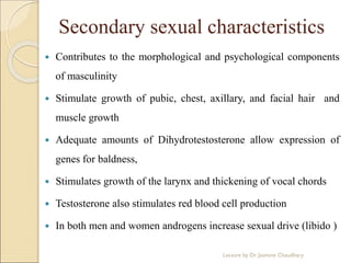 Secondary sexual characteristics
 Contributes to the morphological and psychological components
of masculinity
 Stimulate growth of pubic, chest, axillary, and facial hair and
muscle growth
 Adequate amounts of Dihydrotestosterone allow expression of
genes for baldness,
 Stimulates growth of the larynx and thickening of vocal chords
 Testosterone also stimulates red blood cell production
 In both men and women androgens increase sexual drive (libido )
Lecture by Dr. Jasmine Chaudhary
 