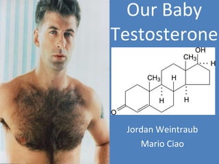 Our Baby Testosterone Jordan Weintraub Mario Ciao 
