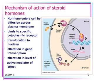 Mechanism of action of steroid hormones Hormone enters cell by diffusion across plasma membrane binds to specific cytoplasmic receptor  translocation to nucleus  alteration in gene transcription  alteration in level of  active mediator of effect DR.UMA K. 
