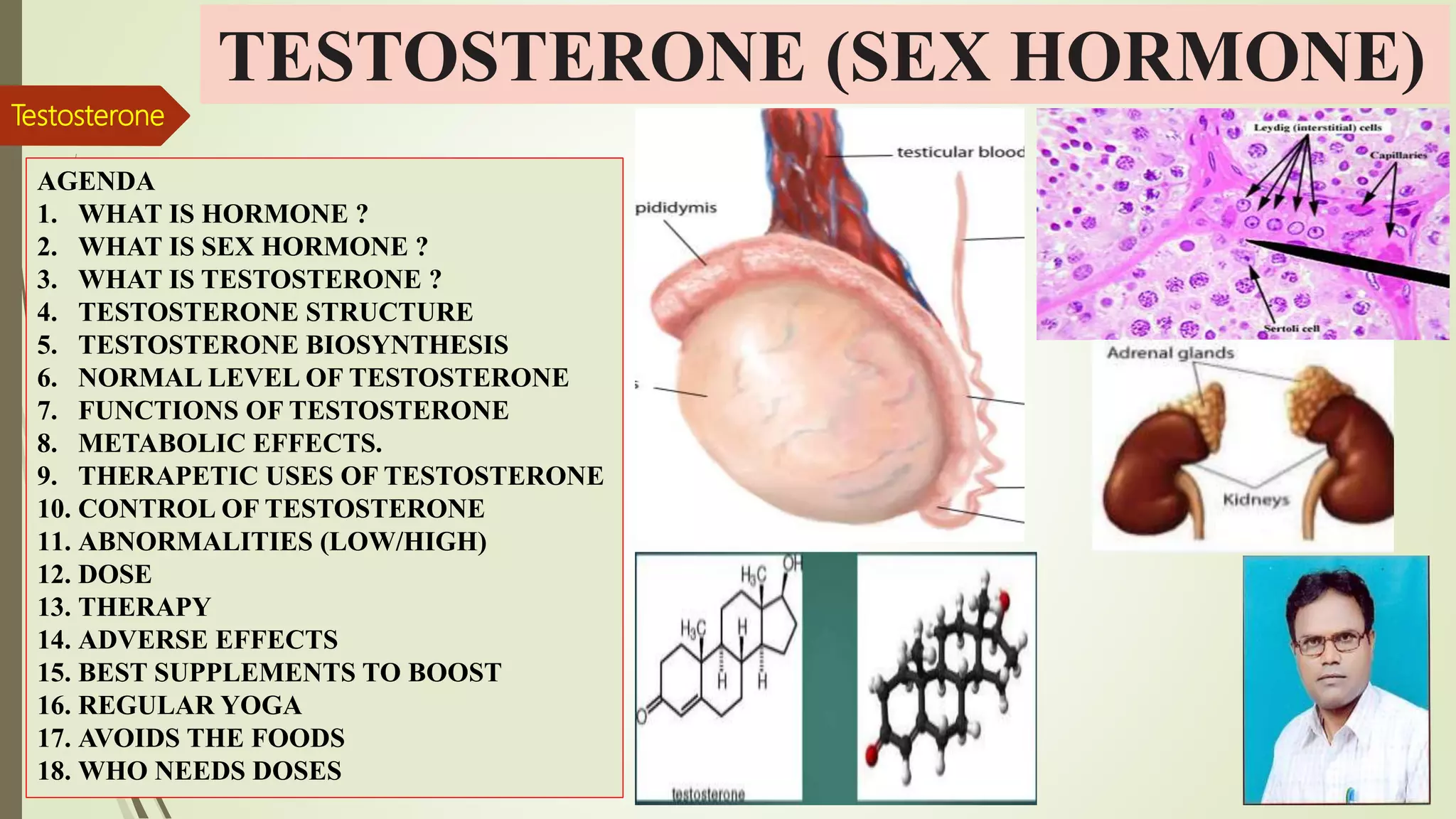 Which Of The Following Is Not A Function Of Testosterone Testosterone Hormone | PPT