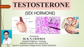 TESTOSTERONE
(SEX HORMONE)
Presented By
Dr. R. N. CHAVHAN
Assistant Professor in Zoology,
Mahatma Gandhi Arts, science and
Late N. P
. Commerce College Armori, District Gadchiroli
Testosterone
 
