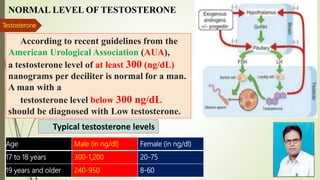 Testosterone Hormone | PPTX