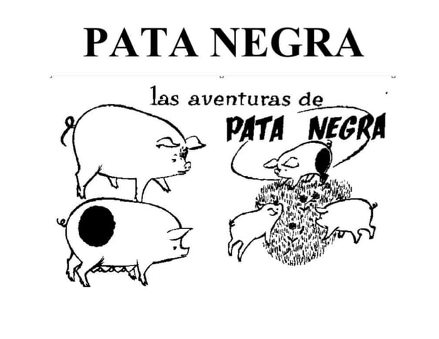 Test Pata Negra laminas Y Manual 