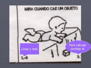 Test++peruano+de+evaluación+del+desarrollo+del+niño | PPT