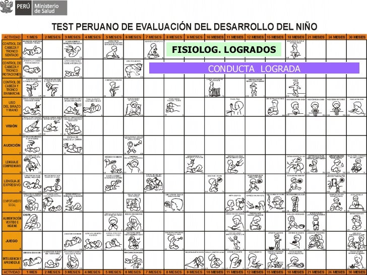 Test++peruano+de+evaluación+del+desarrollo+del+niño