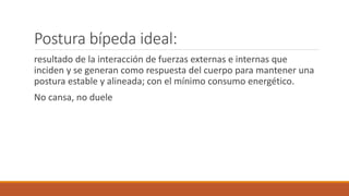 Postura bípeda ideal:
resultado de la interacción de fuerzas externas e internas que
inciden y se generan como respuesta del cuerpo para mantener una
postura estable y alineada; con el mínimo consumo energético.
No cansa, no duele
 