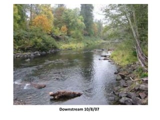 Downstream 10/8/07
 
