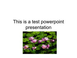 This is a test powerpoint presentation 