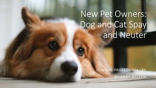 New Pet Owners:
Dog and Cat Spay
and Neuter
CLINICAL PROCEDURES LRC
BY:ANDY DELEON
 